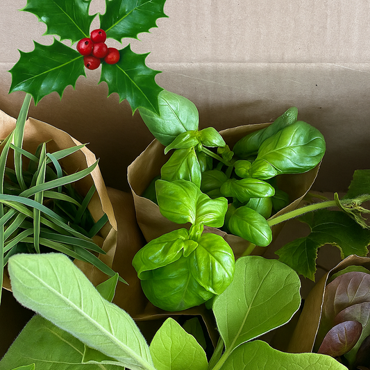 Christmas Box - One month Subscription